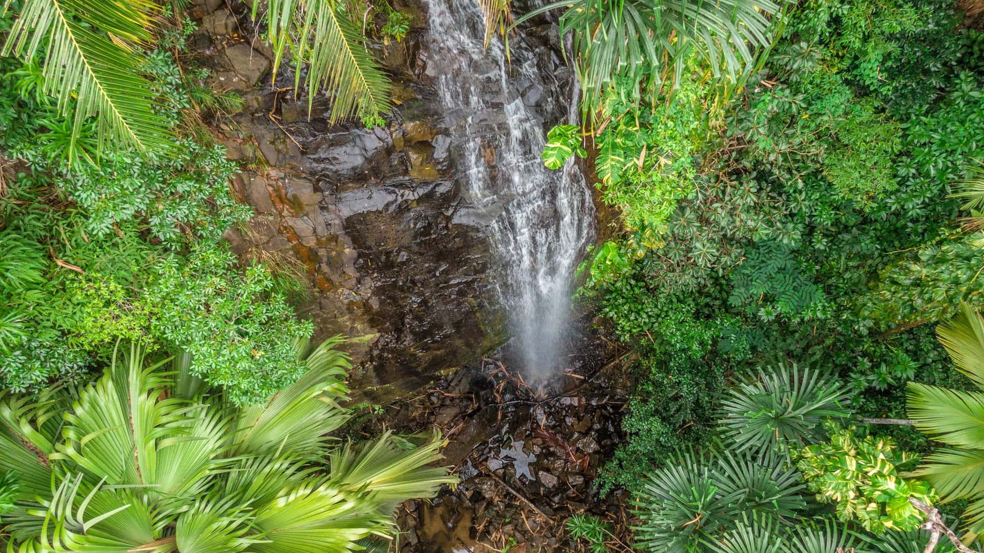 Praslin gallery 6
