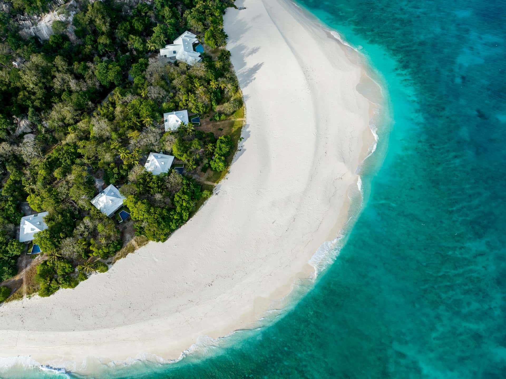 Cousine gallery 16