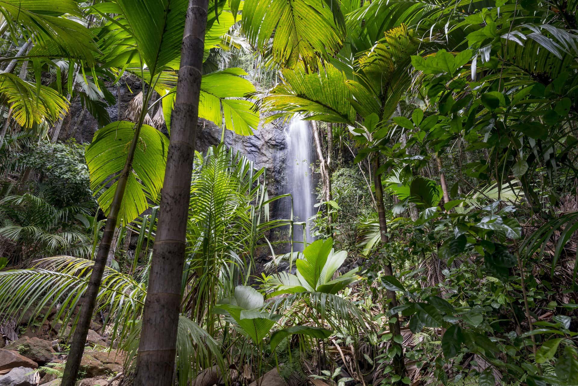 Praslin gallery 8