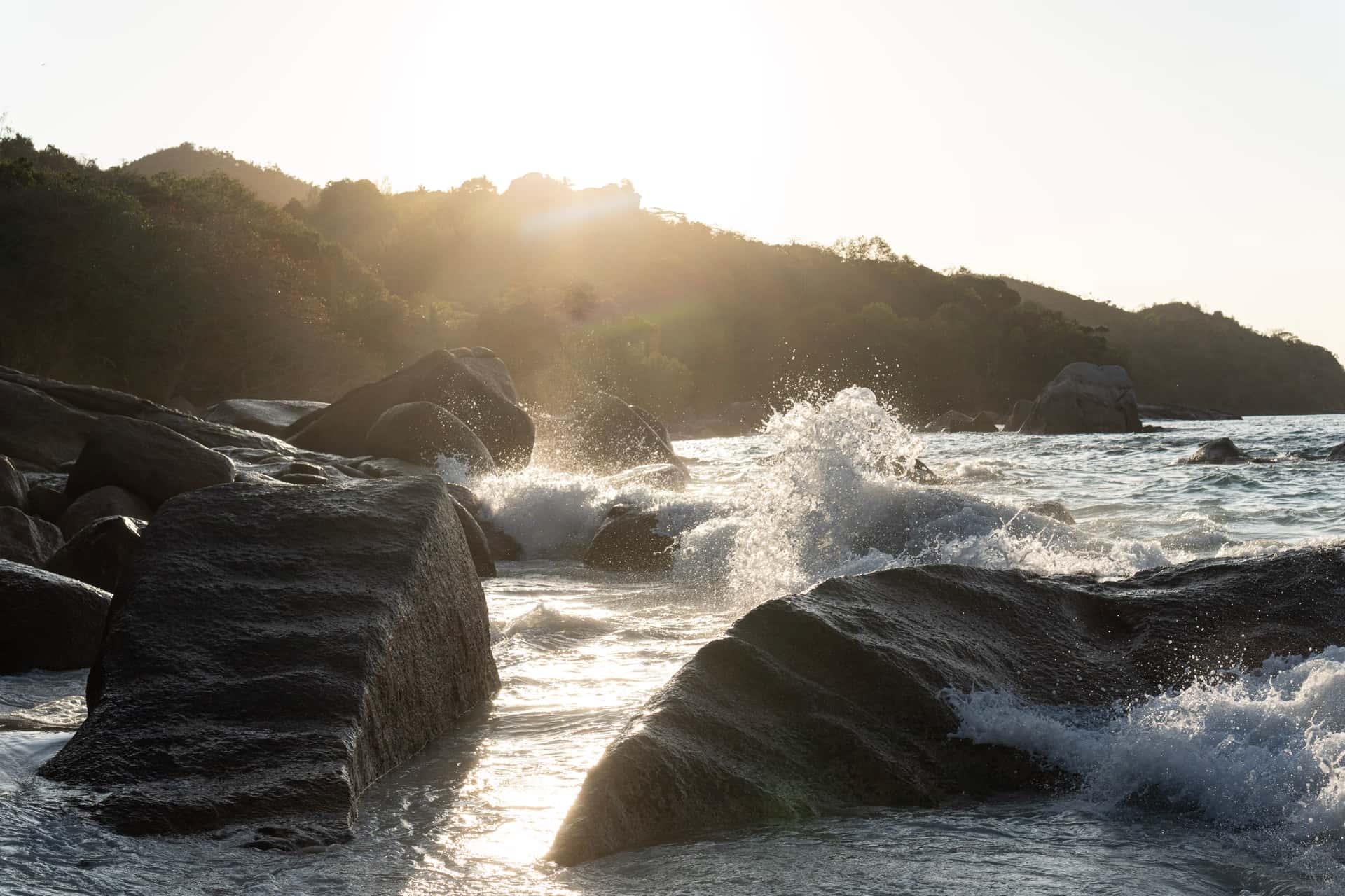 Praslin gallery 13