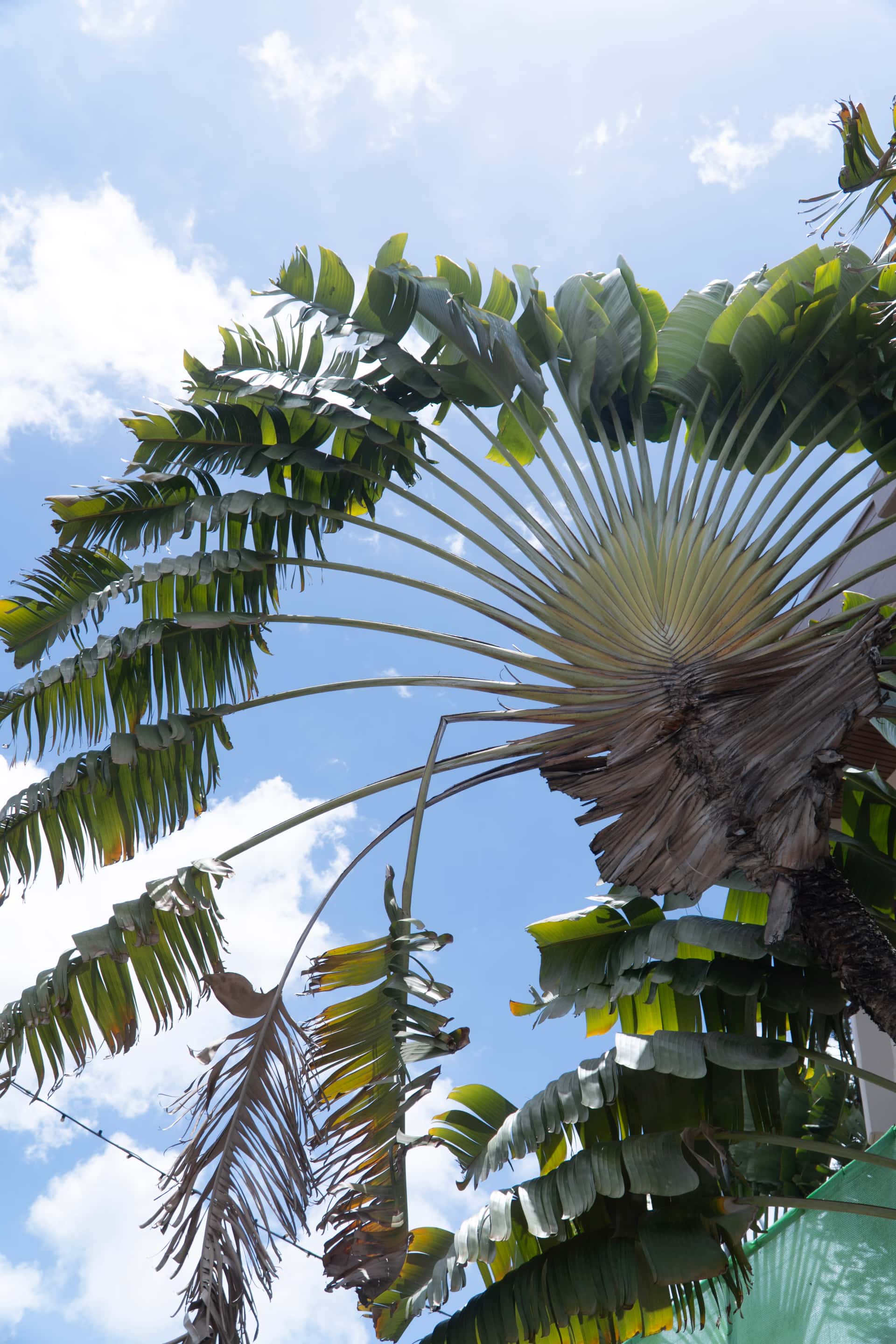 Mahé gallery 4