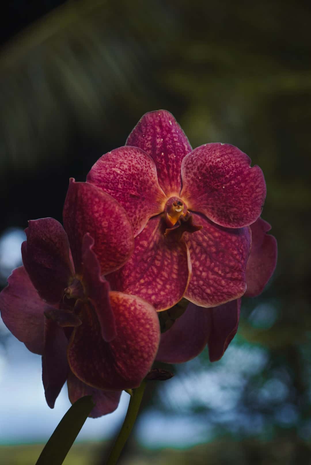 La Digue gallery 17