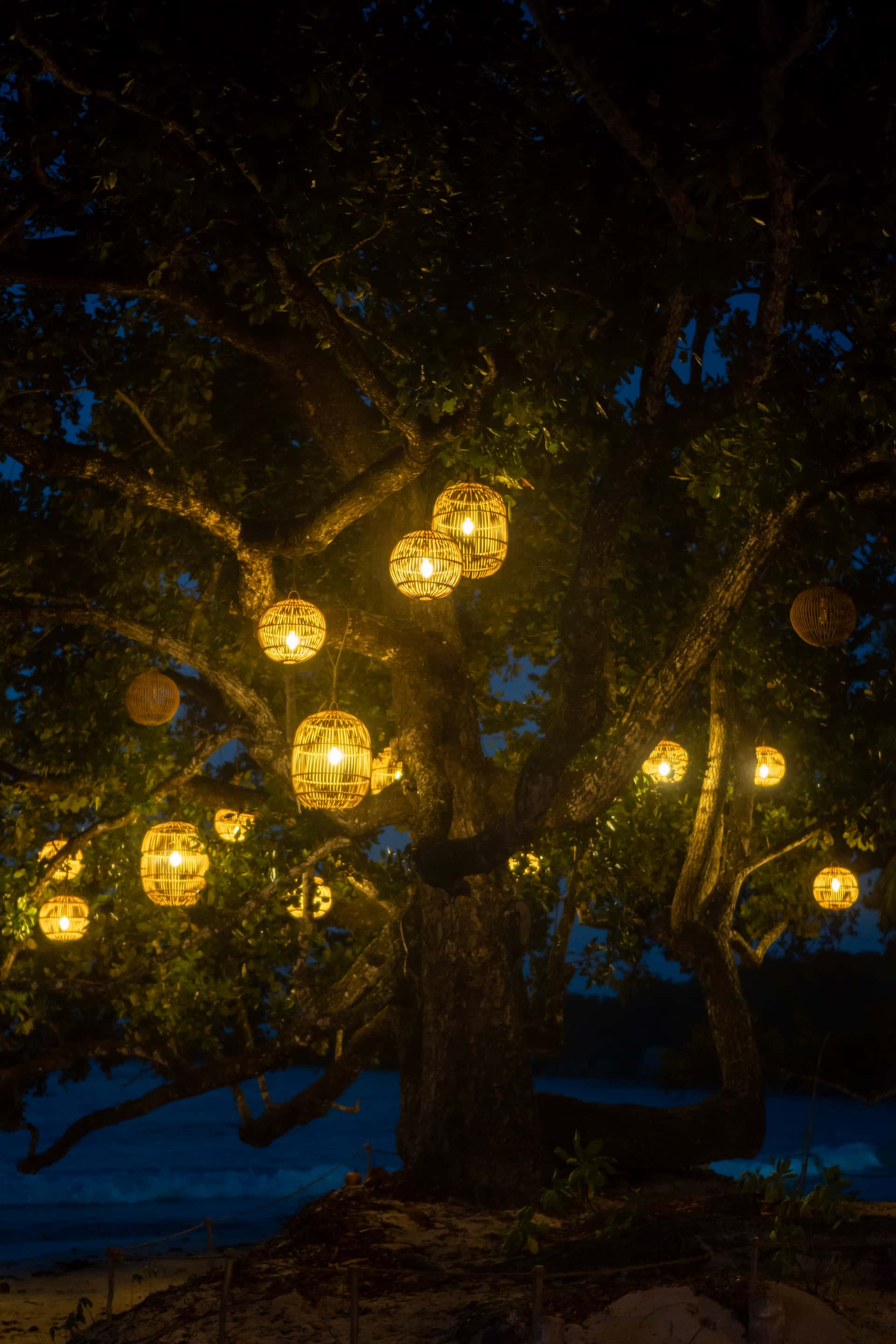 Praslin gallery 14
