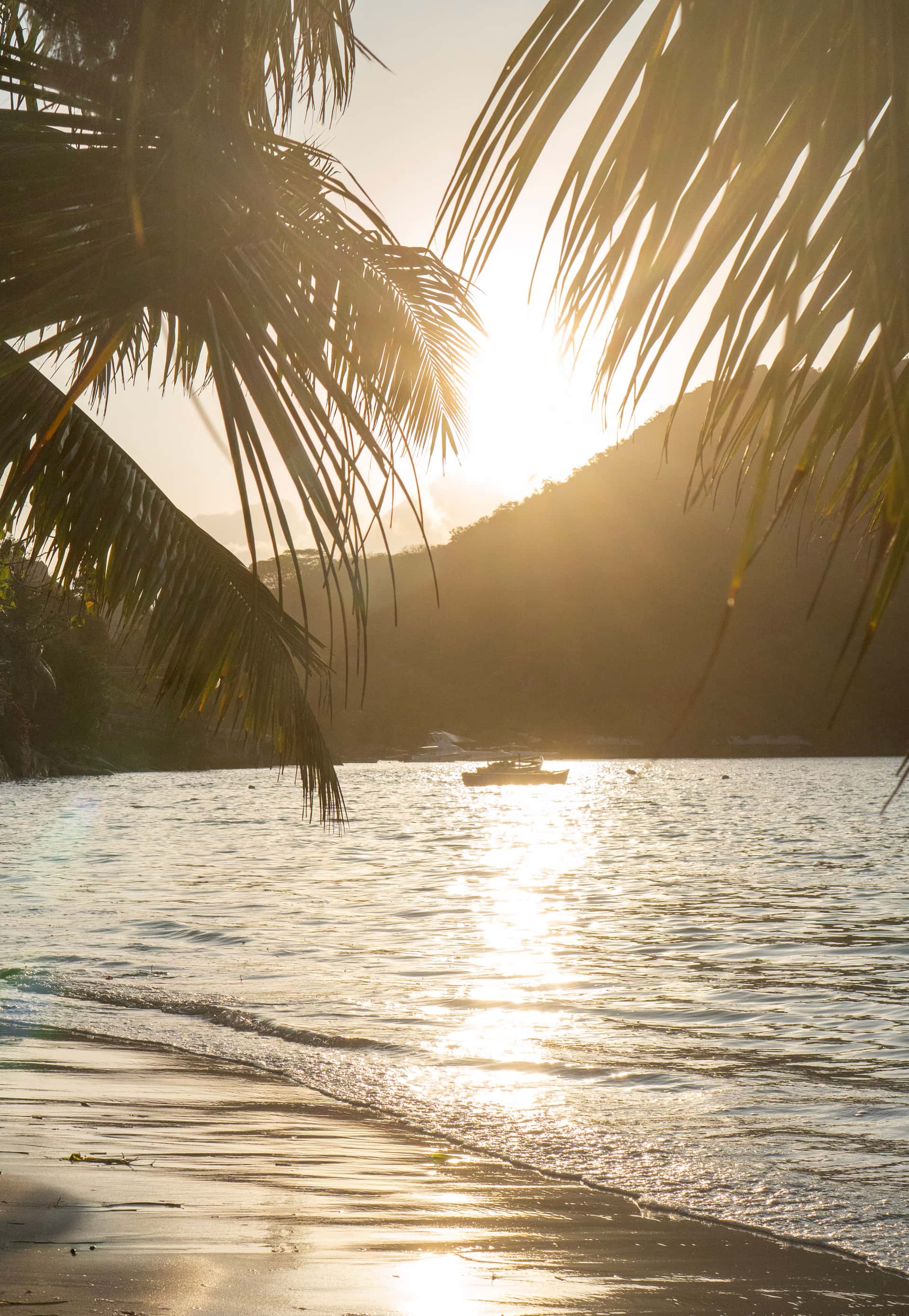 Praslin gallery 15