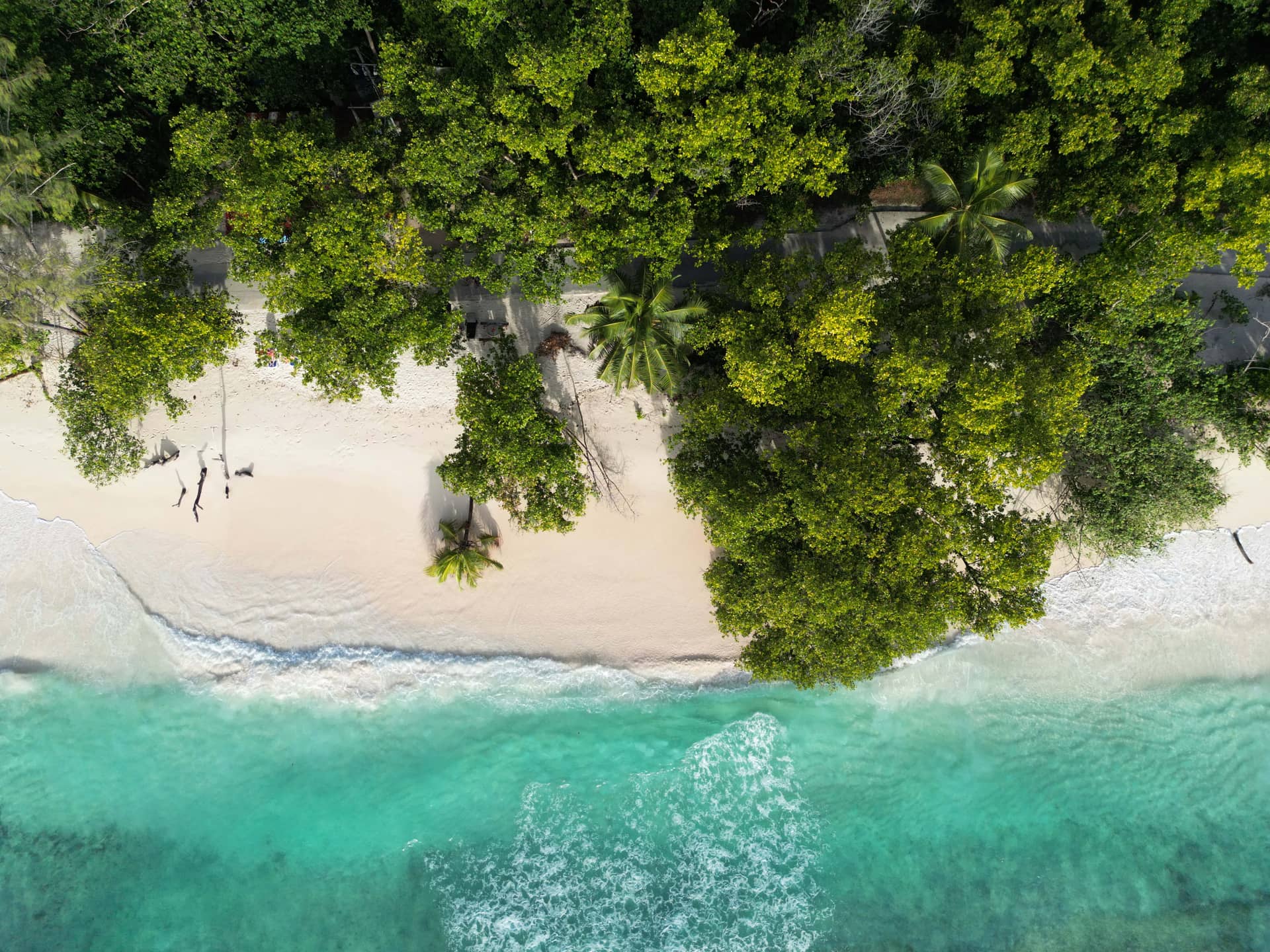 Beautiful scenery in Seychelles