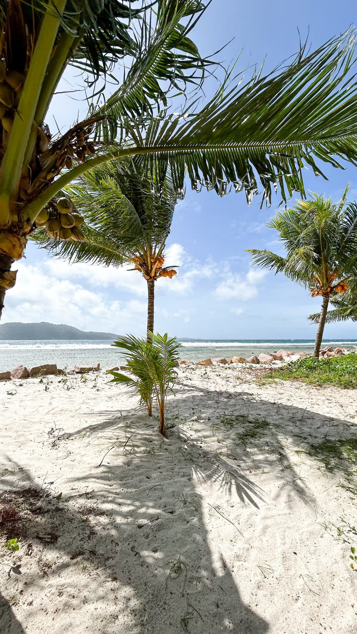 garden villa - Anse Grosse Roche Beach Villa