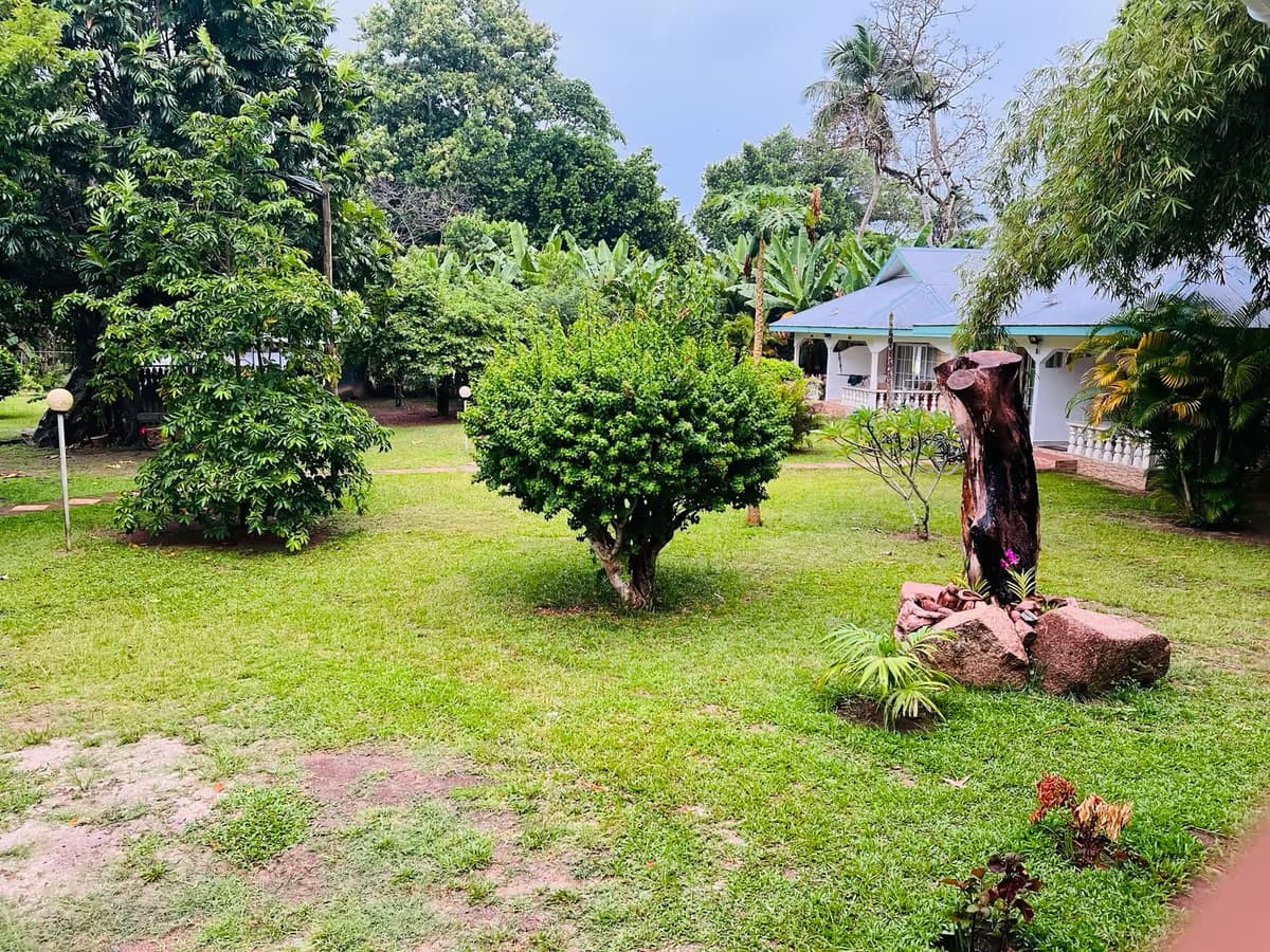 Garden of Chalet Bamboo Vert