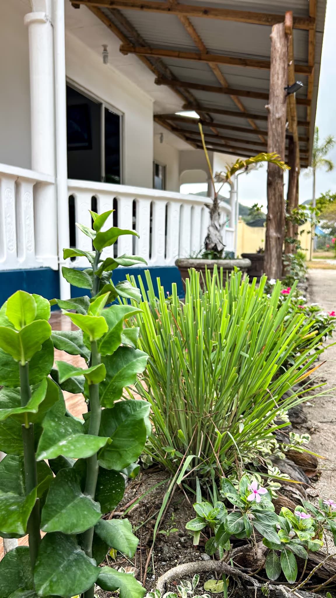 My Ozi Perl Creole Villas