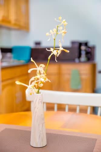 1-bedroom apartment - Cap-sud Self catering