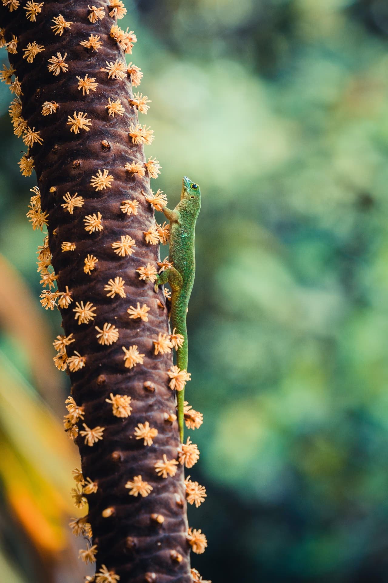 Praslin image 2