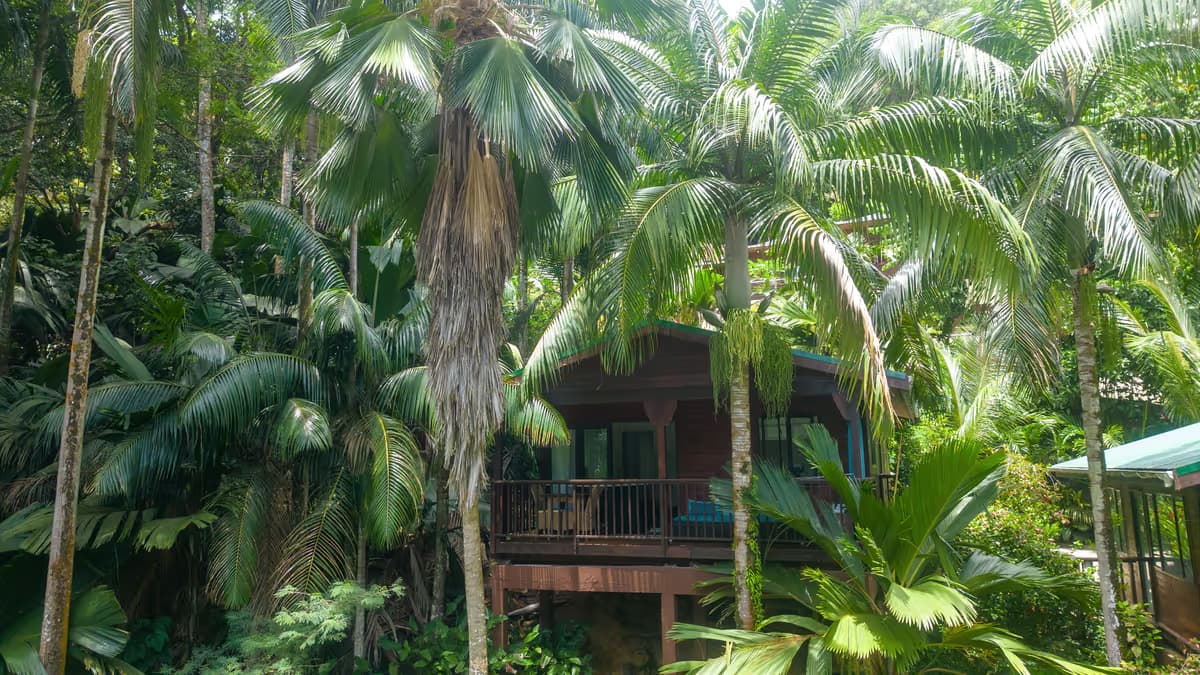 Garden of Hillside Retreat